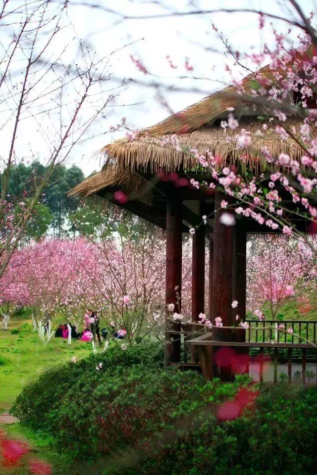 雨血前传：蜃楼
